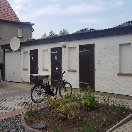 Appartmenthaus Gingst Dış mekan fotoğraf